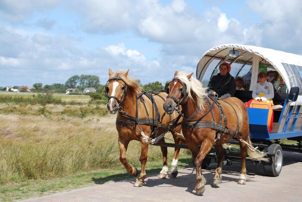 Doppelhaushaelfte In Vitte Auf Hiddensee Kültér fotó